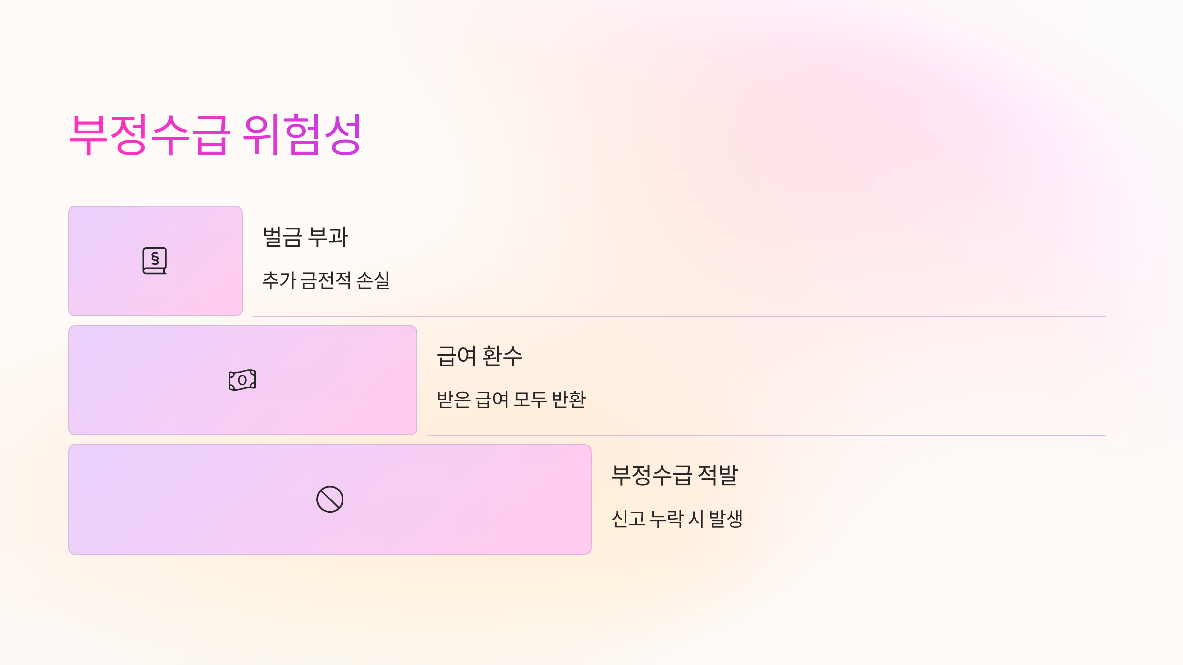 부정수급-위험성