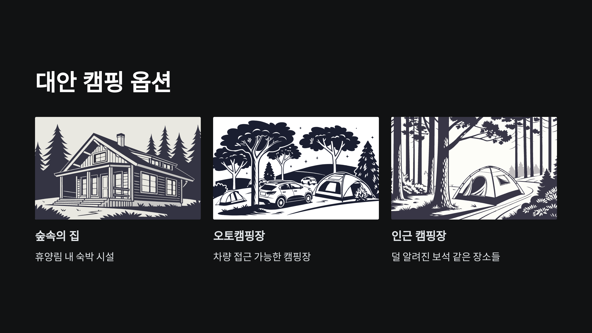대안-옵션