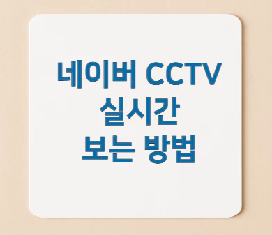 네이버-cctv