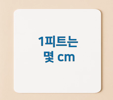 1피트는-몇-cm