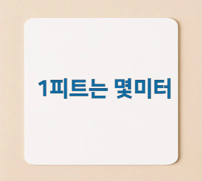 1피트는-몇미터