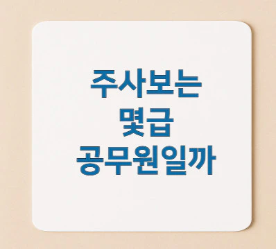 주사보는-몇-급