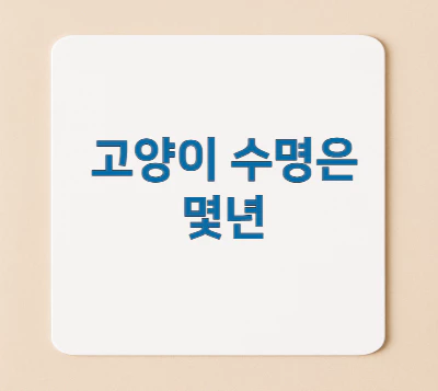 고양이-수명은-몇년