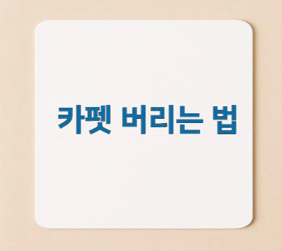 카펫-버리는-법