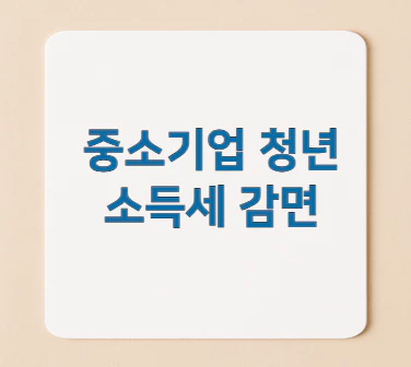 청년-소득세-감면