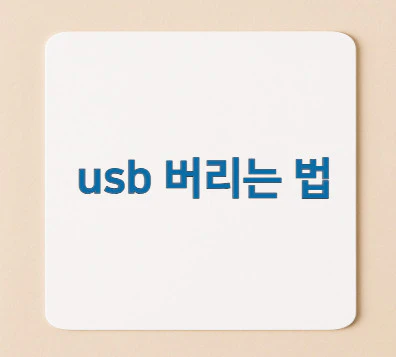 usb-버리는-법