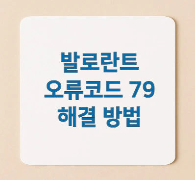 발로란트-오류코드-79