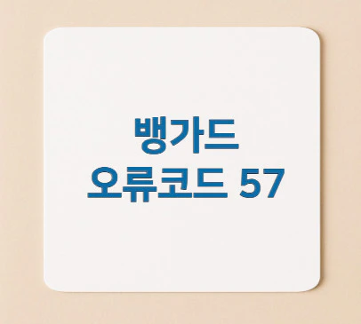 뱅가드-오류코드-57