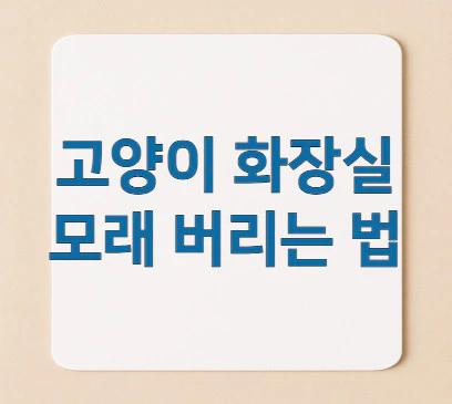 고양이-모래