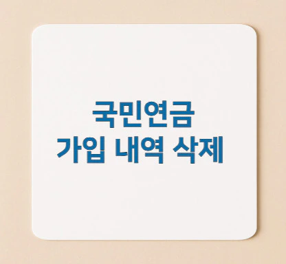 국민연금-가입-내역