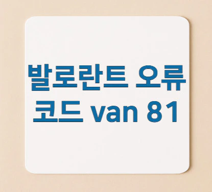 발로란트-오류코드-van-81