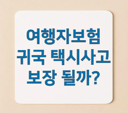 여행자보험-택시사고