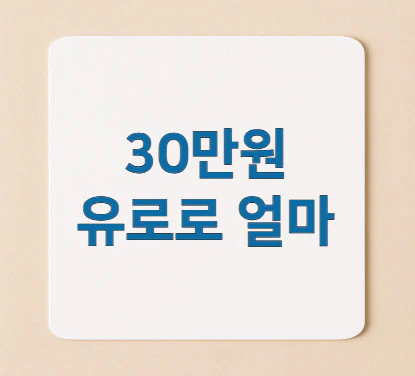 30만원-유로