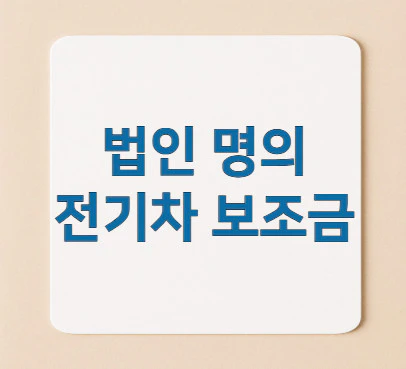 법인-명의-전기차-보조금