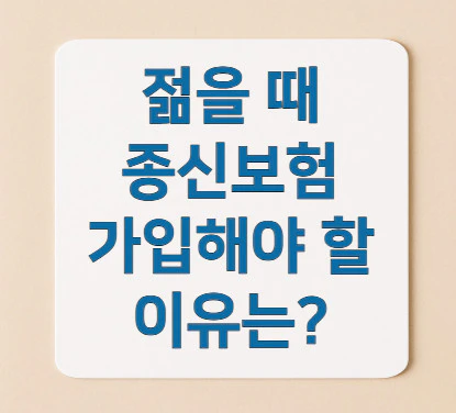 젊을-때-종신보험