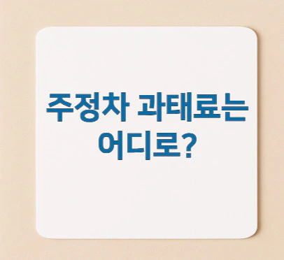 주정차-과태료