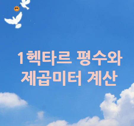 1헥타르-제곱미터