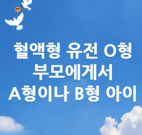 O형-부모-A형-아이