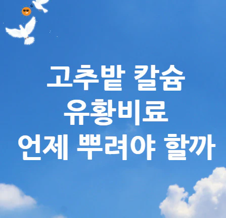 고추밭-칼슘-유황비료