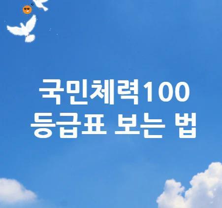 국민체력100-등급표