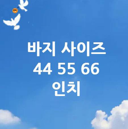 바지-사이즈-인치