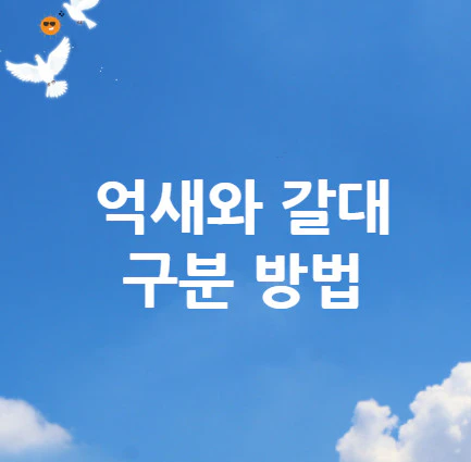 억새와-갈대-구분