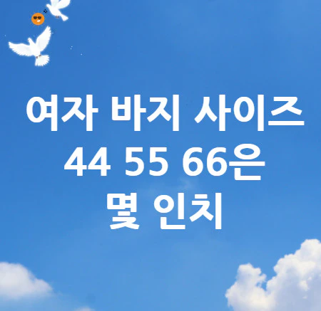 여자-바지-사이즈-44-55-66