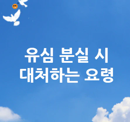 유심-분실