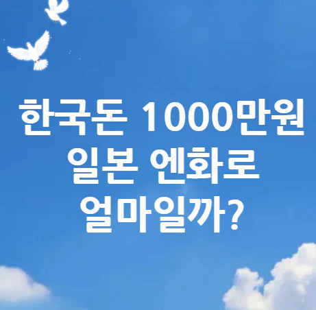 1000만원-엔화