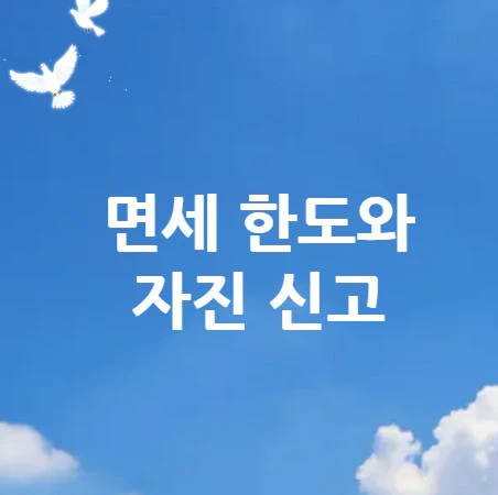 면세-한도
