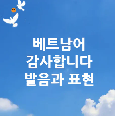 베트남어-감사합니다