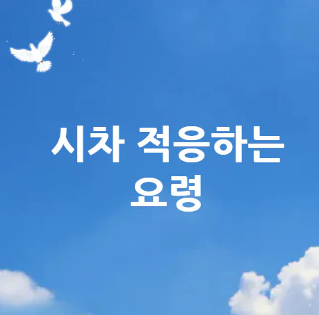 시차-적응