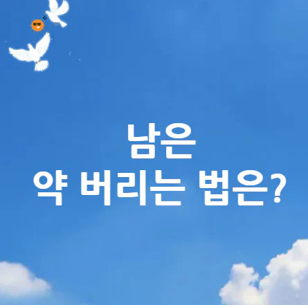 약-버리는-법
