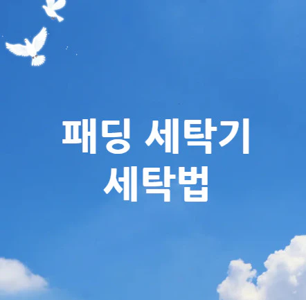 패딩-세탁기-세탁법