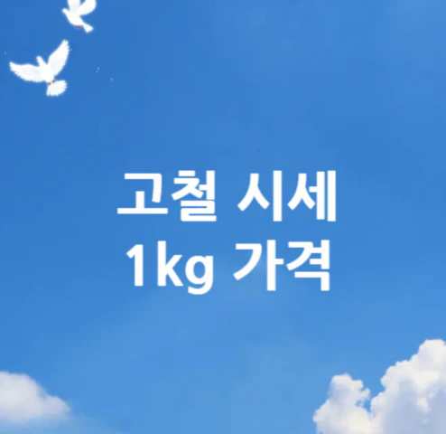 고철-시세