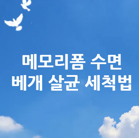 메모리폼-수면-베개