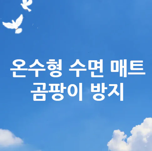 온수형-수면-매트